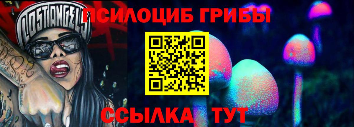 Людиново  Галлюциногенные грибы прущие грибы  Псилоцибиновые грибы GOLDEN TEACHER  Вход с VPN 